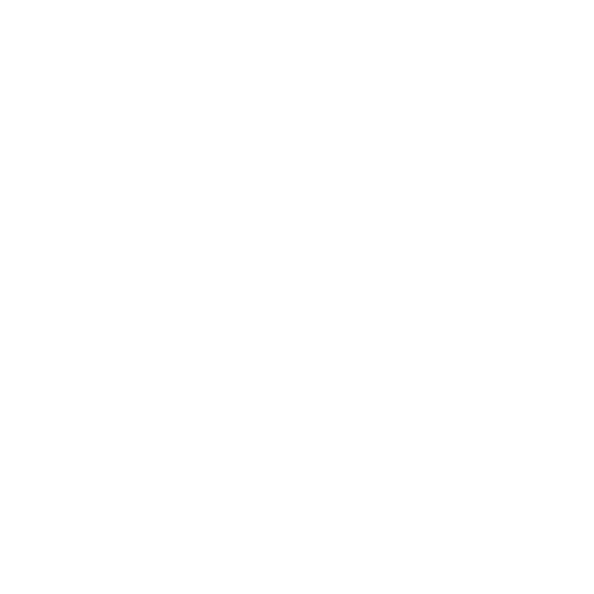 DLV Energy